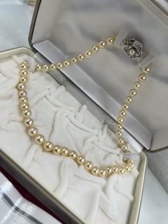 買取品目